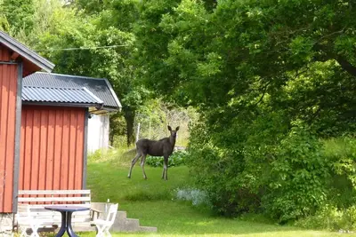 Image de Charming vacation home on Orust on the west coast of Sweden
