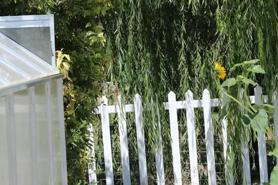 Image de Twin Falls one level private bedroom with full bath Private Patio & Yard.