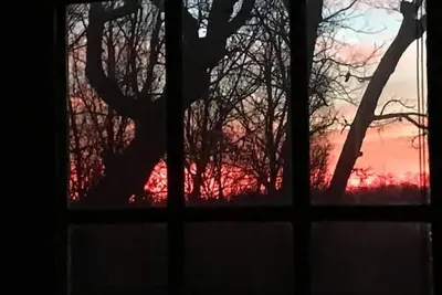 Image de Relax in the Ozark woods at a quiet nature retreat with a private walking trail.