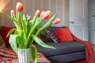 Image de 1br Flat Covent Garden - Sleeps 4 - Prime Spot - WiFi - Discounts on Stays