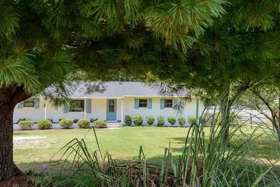 Image de 3Bed/2Bath home with new interior design, & backyard Oasis. Minutes to the lake!