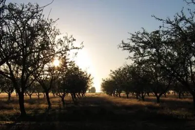 Image de The Yellow Cabin w ensuite/private\n