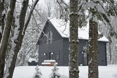 Image de Hodag House | Magical Cabin & Creature Comforts