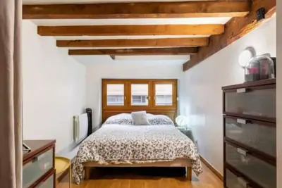 Image de Duplex Atypique Loft Lyon 6