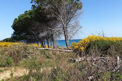 Le temps d'une île en Tout Compris