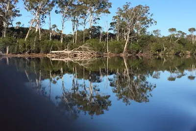 Image de Wangrabell, on the Wallagaraugh River.