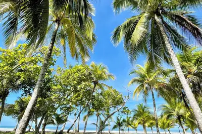 Image de New Direct Beachfront Villa, 2 Br, 2bath-stunning sunsets- discounts, book now