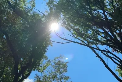 Image de Roddy Wilderness\nQuiet Quaint Home in the woods.