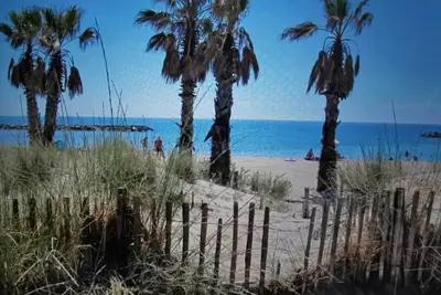 Image de Coquillages et Crustacés, Joli T2 Proche de la Plage et du Centre Ville