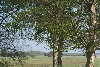 Image de Hyggelig Lejlighed ved Kongeåen - 12 km fra Danmarks Ældste by  Ribe