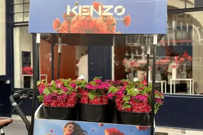 Image de For A Classic French Stay In Le Marais On Rue Debelleyme