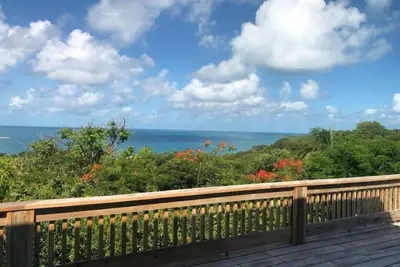Dream View\n