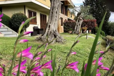 Image de Apartment among the olive trees
