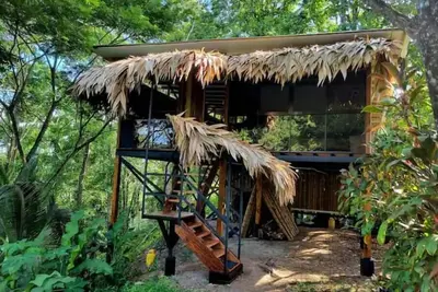 Image de TreeTop Mansion, where the jungle meets the sea!