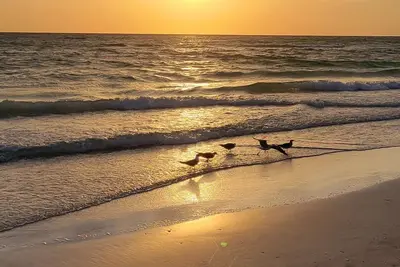 Image de Home Paradise, Cozy guest suite in Ruskin Pools High Speed Wifi Beach Minutes! ! !