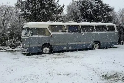 Image de Get away from it all, relax in a  1971 Bedford bus over looking lake Karapiro