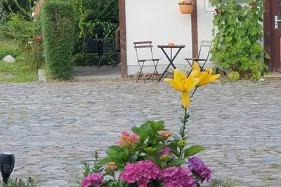 Image de Ferienbungalow mit 35 qm und Terasse - Dts Apartments