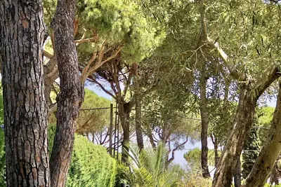 Image de Casita Rural con Amplio Jardín Soleado