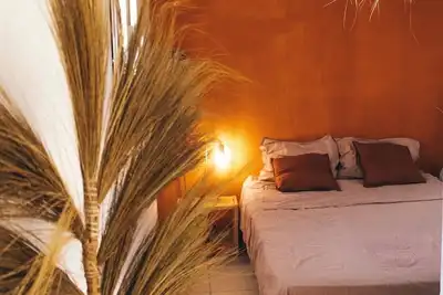 Image de Mango Sf : Bienvenue chez vous!