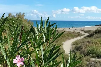 Image de Juste la plage en Tout Compris