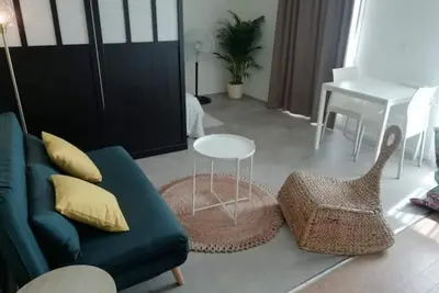 Image de Appartement Bordeaux centre, accès piscine (été)