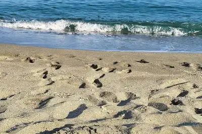Image de Calme sur la côte en Tout Compris
