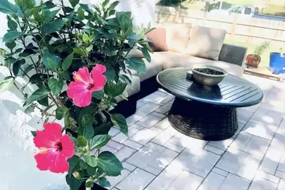 Image de Cozy and clean one bedroom retreat!