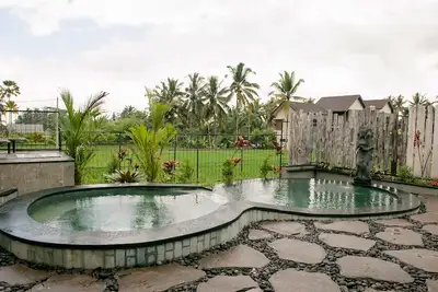 Private Pool Villa with Rice Paddy View at Ubud