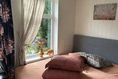 Image de Historical house ground floor. Downtown. One bedroom. 6 pers