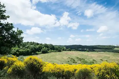 Image de Joli appartement pour 3 personnes avec piscine, Wifi, patio, animaux admis et vue panoramique
