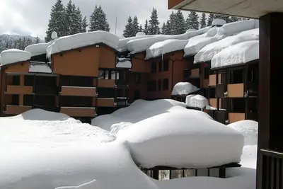 Image de Accogliente Appartamento in Affitto a Madonna di Campiglio per L'inverno 2024