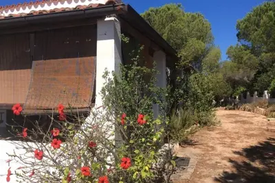 Image de Chia Aloe & Cactus- Casa con 3 Camere x6