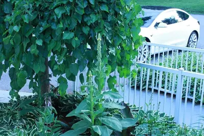 Image de Private Villa home in Gatineau near downtown Ottawa