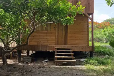 Image de Bungalow Kay Milo, les pieds Dans l'eau! ! !