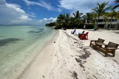 Image de Dockside Daydream: Where ocean breezes meet unforgettable Keys adventures
