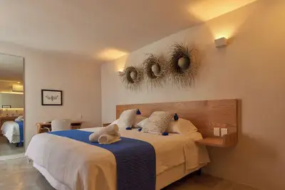 Image de Casona Juárez - Porfirio / private plunge pool