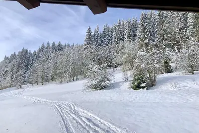 Image de 2ème étage, balcon, télévision, 52m², Morzine