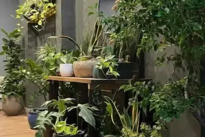 Image de Vania House 12- cozy studio near the airport\n