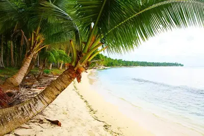 Image de Breathtaking Siargao Island Villa for Groups: Ocean Views & B'Fast Incl. \n