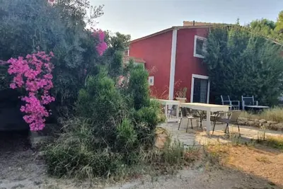 Image de Oasis de Ifre.