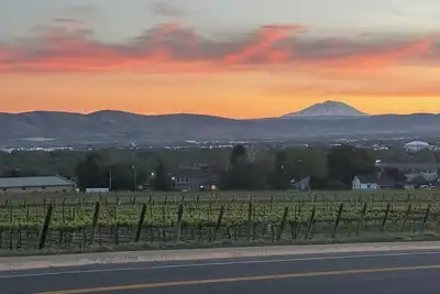 Image de Amazing vineyard views! Conveniently located close to freeways and downtown.