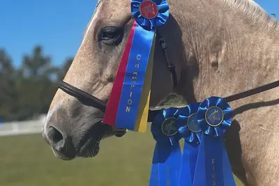 Image de Private Loft at a Working Show Barn ~ Pets Welcome!