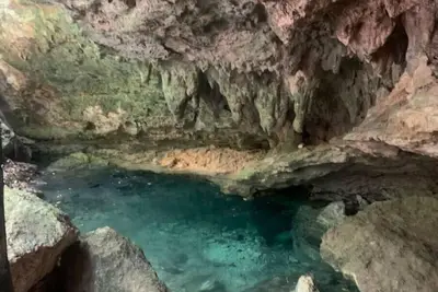 Image de Casa de la Selva-Eco-Friend Private Jungle Retreat & Cenotes-Playa del Carmen\n\n