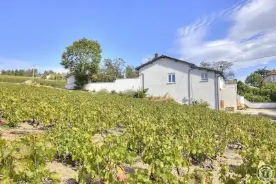 Image de Envol et Vigne - Saint Etienne La Varenne